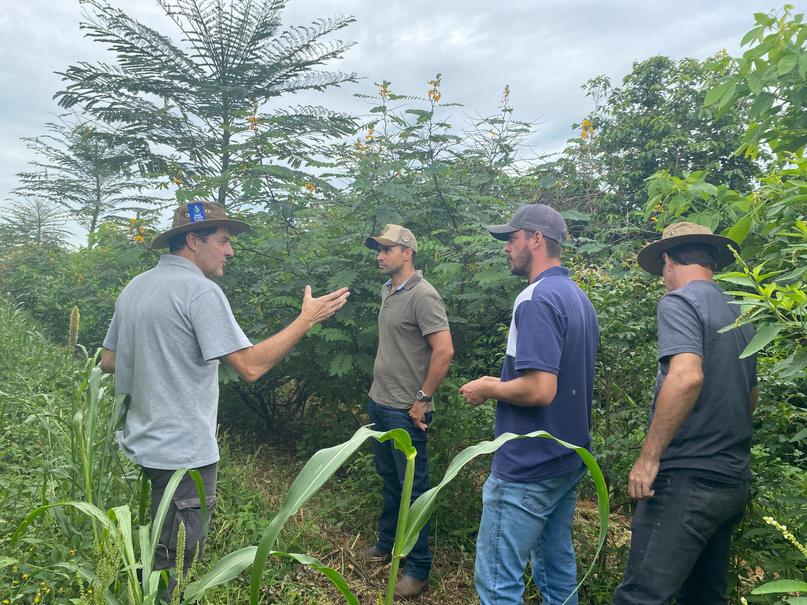 Conversa com produtores em meio a lavoura arborizada
